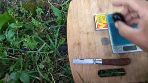 ВЕЛИКА сорт Болгарской селекции осенняя королева темного винограда.