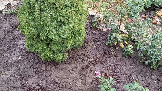 Наша жизнь - только держись. 09 - 07. 2025 смотреть онлайн