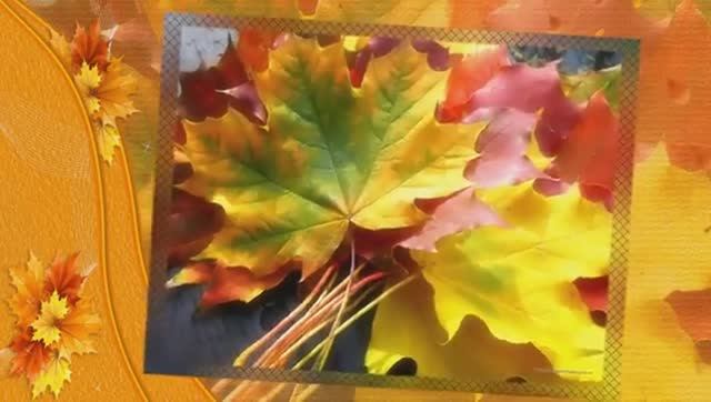 ОСЕНЬ, ТЫ МЕНЯ НЕ ЖАЛЕЙ - Жанна Вишнякова Арс смотреть онлайн