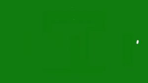 ФУТАЖ- ПОДПИСАТЬЯ  - ХРОМАКЕЙ НА ЗЕЛЕНОМ  ФОНЕ