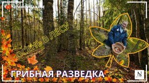 Грибная разведка 09 октября 2025. Всеволожский район.