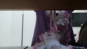 VID_20251009_194337.mp4