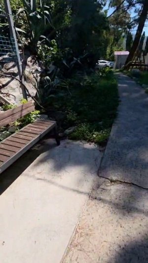 Riverhotel, Абхазия, Гагра. Обзор территории