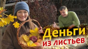 Листья как удобрение СЕКРЕТ пользы из "мусора"