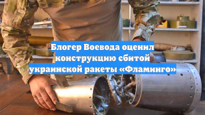 Блогер Воевода оценил конструкцию сбитой украинской ракеты «Фламинго»