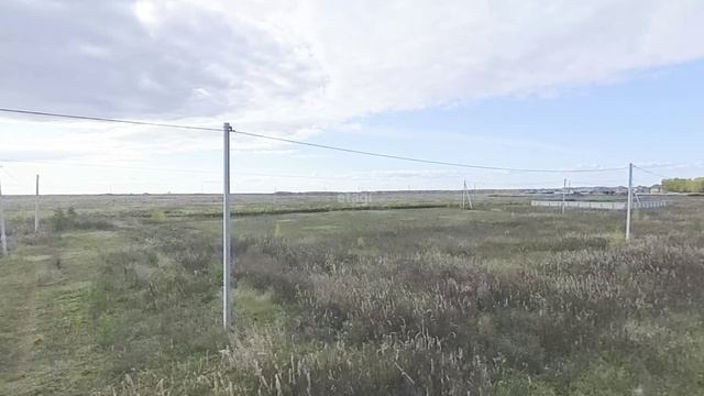 9999704, Насекина смотреть онлайн