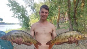 ДОН, 2025, первый день... много сазана, трудовая рыбалка.