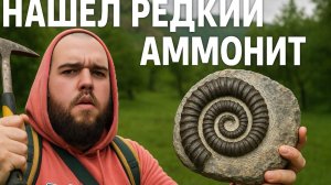 Экспедиция за окаменелостями. Нашел редкий АММОНИТ!