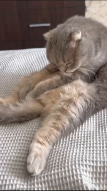 Утренние процедуры.