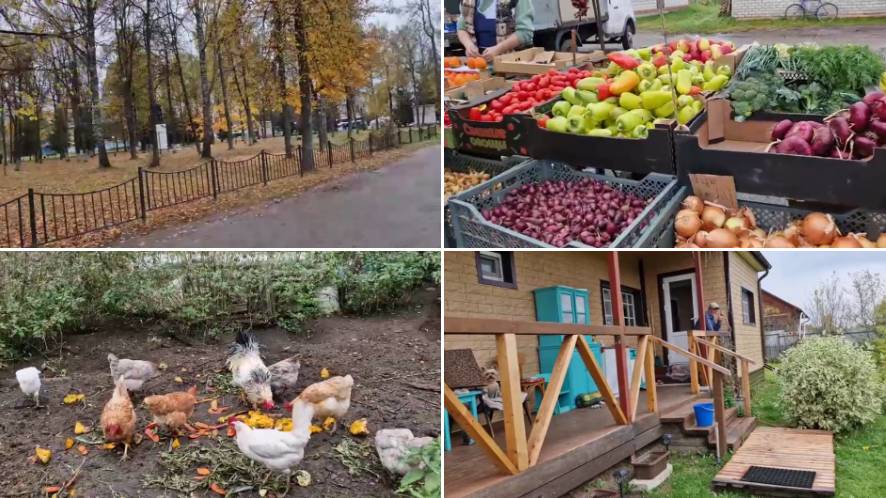 ЕДЕМ НА РЫНОК, ЛЁШИК ЗА БЕЗОБРАЗИЕМ, А Я ЗА КАМБАЛОЙ. смотреть онлайн