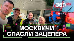 Трое суток пролежал в овраге: под Клином спасли подростка-зацепера