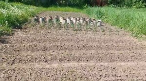 Щавелевые щи от бабушки Маши.