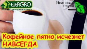БЕЗ ЗАМАЧИВАНИЯ и СТИРКИ: свёл пятна от кофе за 2 минуты, не снимая одежду. Вы не догадаетесь, чем!