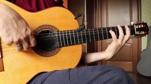 из игры "СТАЛКЕР" гитара у костра