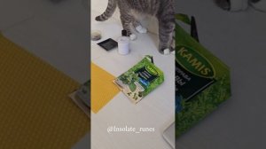 Программная свеча - чистка от бытового негатива