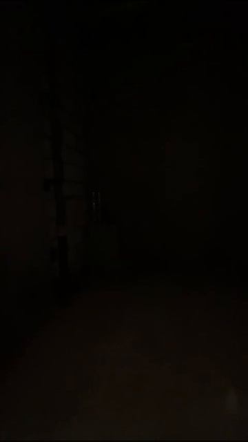 20251009-054537 смотреть онлайн