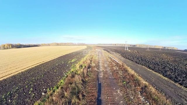 10042673 смотреть онлайн