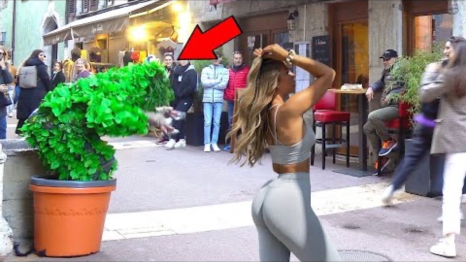 bushman prank._The Funniest Bushman Moments Caught on Camera_ смотреть онлайн