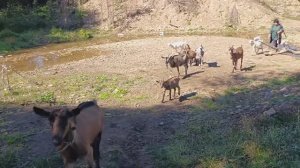 Что 👀Где🙄 Когда😎 Почему😏 Гуляем по пгт🌞Изучаем окрестности🌲🌳