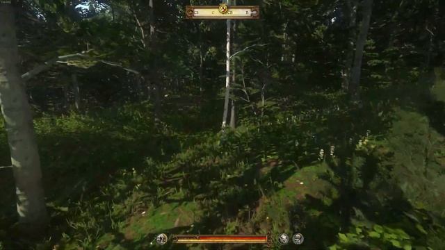 Kingdom Come: Deliverance #6 смотреть онлайн
