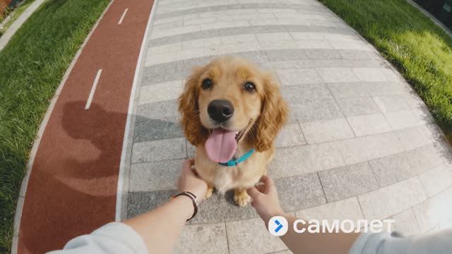 Строим кварталы для жизни с заботой о будущем смотреть онлайн