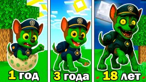 ЭВОЛЮЦИЯ ГОНЩИК ЩЕНЯЧИЙ ПАТРУЛЬ ЗОМБИ АПОКАЛИПСИС В МАЙНКРАФТ МУЛЬТИК!