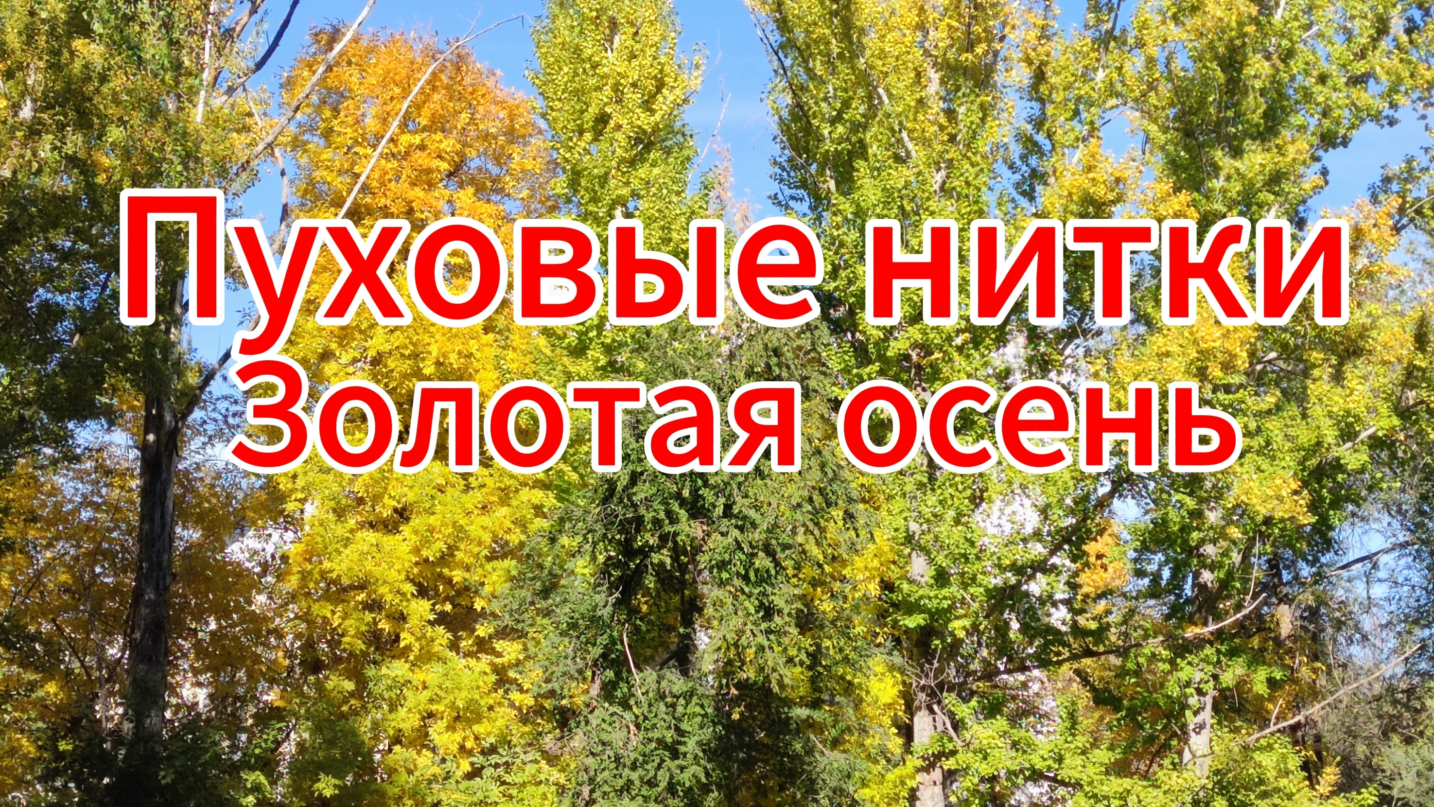 Оренбургские пуховые нитки//Впечатление о коврике//Золотая осень смотреть онлайн