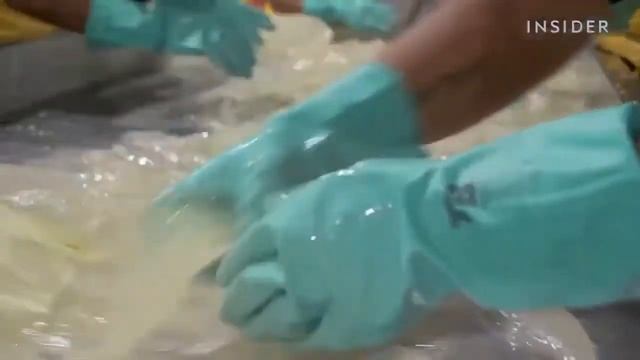 Как большой бизнес собирает 1,5 миллиона листьев Алоэ Вера за неделю. Компания ФОРЕВЕР ЛИВИНГ смотреть онлайн