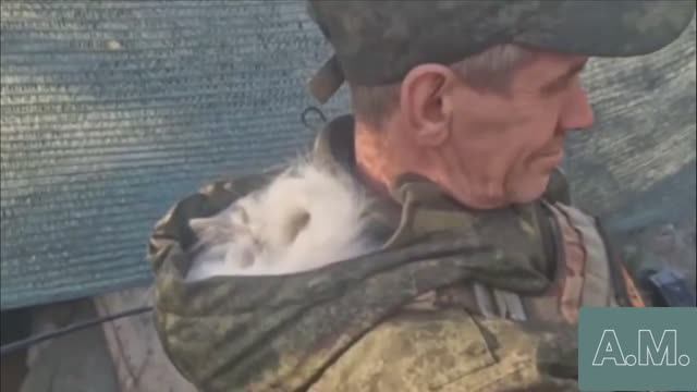 солдатский сон смотреть онлайн