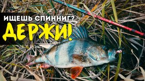😊НЕ НУЖНО ПРЯТАТЬ от ЖЕНЫ! - Спиннинг Daiwa Ninja Z -Обзор Моего лучшего бюджетника для микроджига