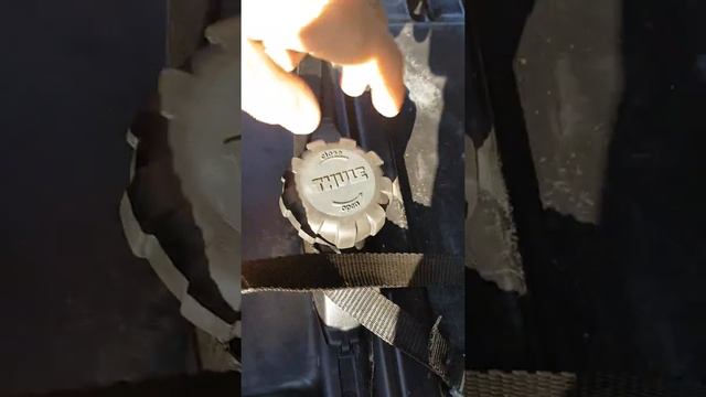 Авто-бокс Thule Motion 800-обзор