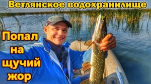 ВЕТЛЯНСКОЕ ВОДОХРАНИЛИЩЕ/СПИННИНГ/ЛОВЛЯ ХИЩНИКА/ЩУКА НА ВОБЛЕРЫ/КАК НАЙТИ РЫБУ НА НЕЗНАКОМОМ ВОДОЁМЕ