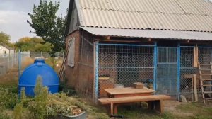 Мой дом у лимана. Уборка во дворе. Шашлычок. Ремонт и работа Олега. Салат - Вдоль по огороду.