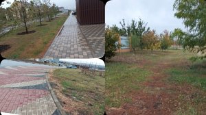 Целый день дождь. Ходила в школу за Анютой.