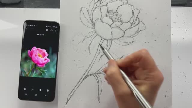 Учимся рисовать пион. Рисунок карандашом, часть #1. смотреть онлайн