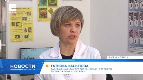 ТВ: Как в Красноярском крае специалисты ЦОК АПК проверяют импортные овощи и фрукты