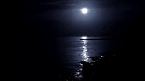 #Сергей Грищук «Лунная ночь» ⧸#Sergey Grischuk Moonlight Night