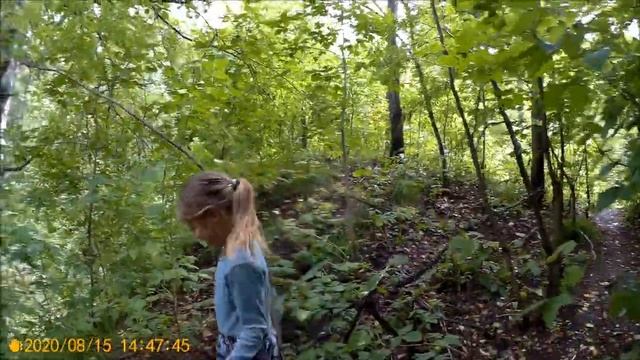 Томские джунгли