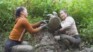 Drained Wild Pond Caught Big Turtle Weighing 10KG And Many Catfish Goes To Countryside Market Sell.