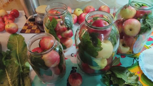 Рецепт моченых яблок. смотреть онлайн