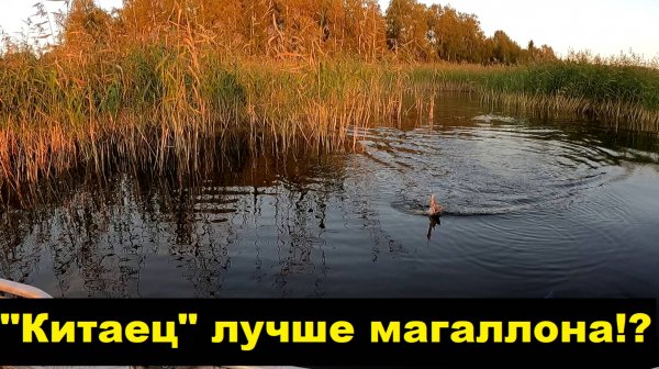 Дешевый китаец лучше Jackall