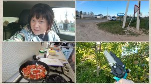 Подстриглась.Занимаюсь розами.Ужин в духовке