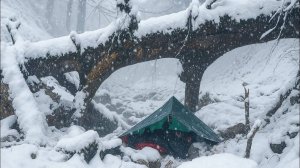 Один в снежную бурю: как выжить под деревом при температуре -20°C!