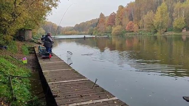 Поимка Форели смотреть онлайн