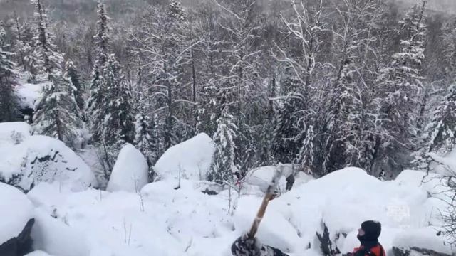 Поисковые работы в Партизанском районе смотреть онлайн