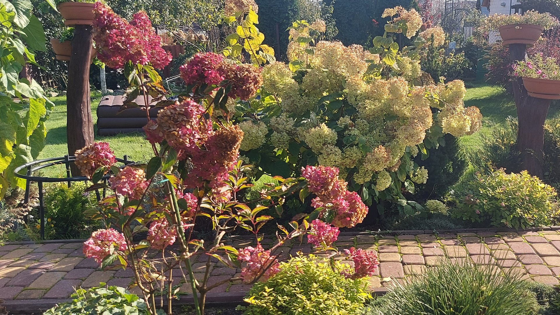 Погода шепчет🌸🌞💜 смотреть онлайн