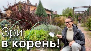 Посадка новых хвойных Работа с корневой СОСНЫ Чантри Блю и Мини Мопс ЕЛЬ Мекки