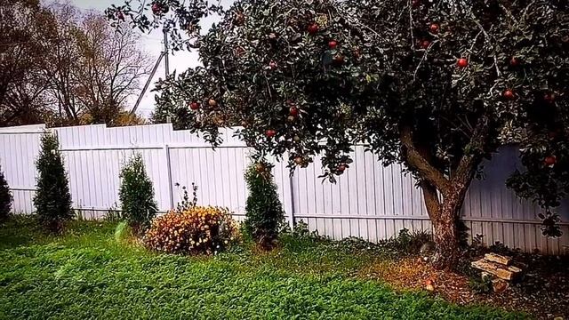 1000000603.mp4"Инна Судакова: Исповедь Русской Женщины в Турции".#обзор #Ольгауралочкалайф смотреть онлайн