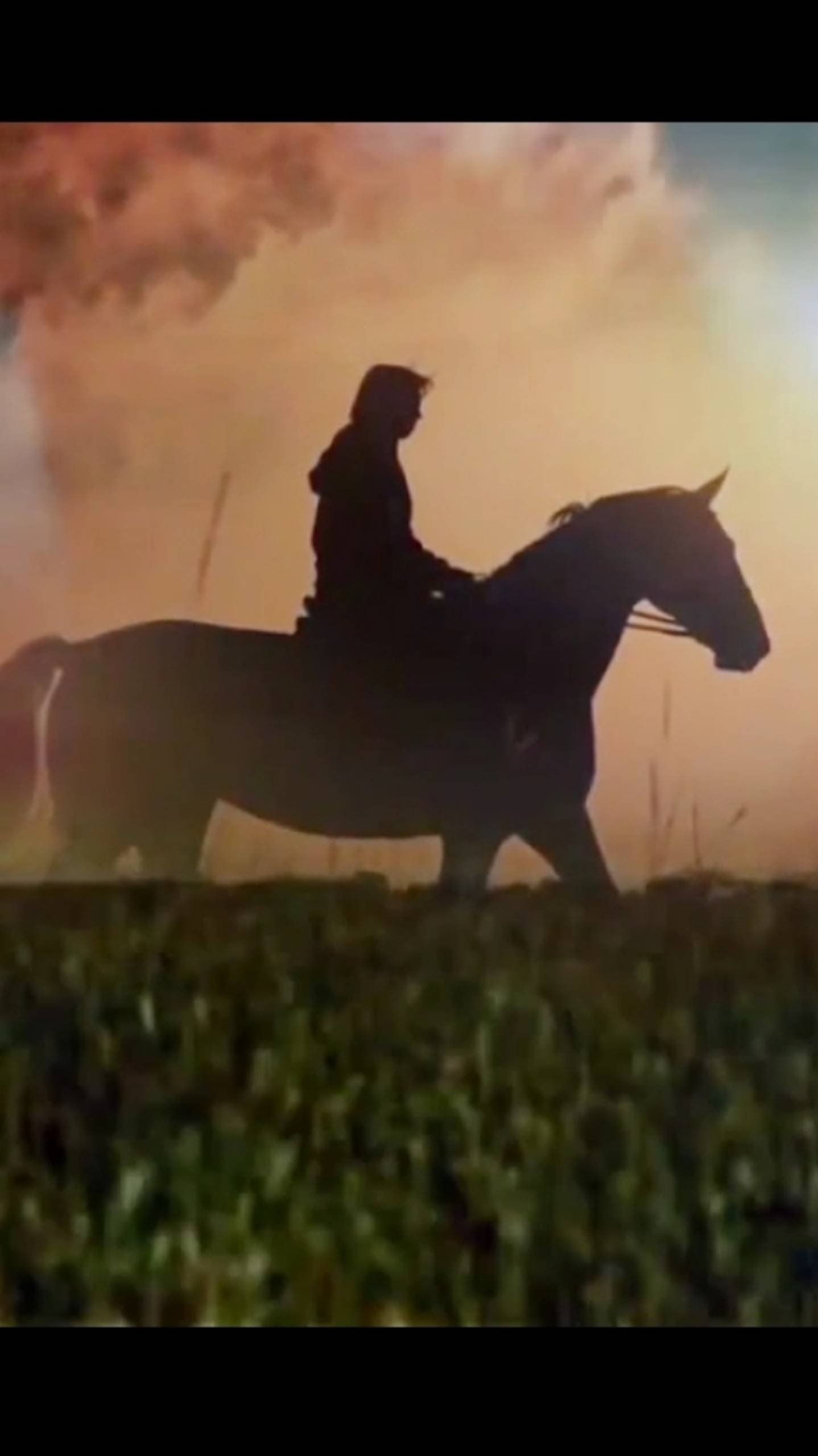 ЛЮБЭ ✨ Конь