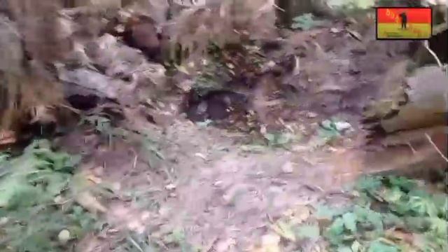 Растяжки и мины